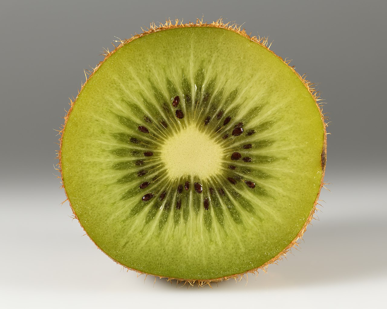 Kiwi