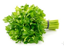 Parsley