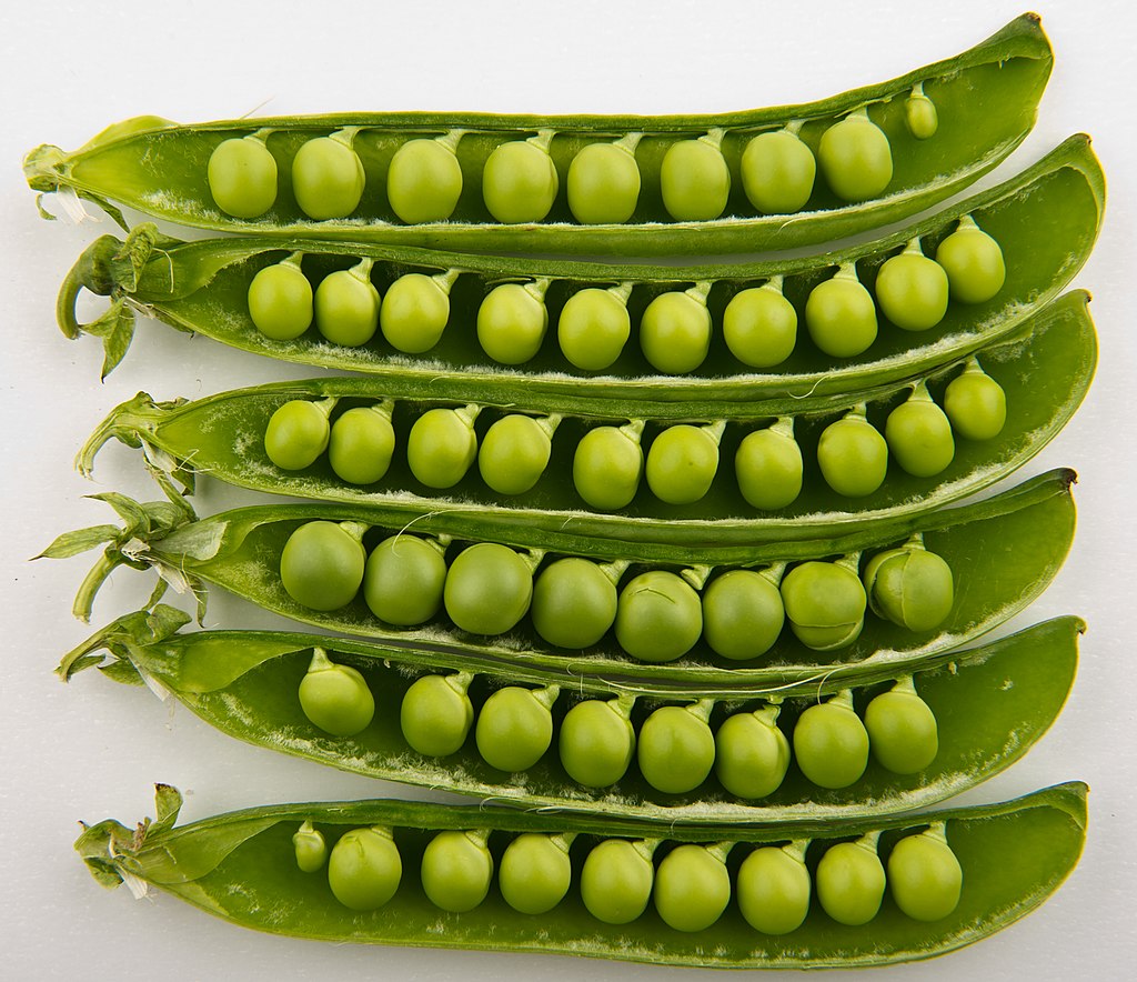 Peas