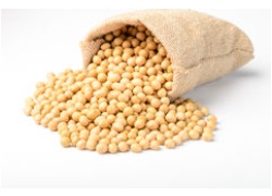 Soya Beans