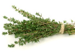 Thyme